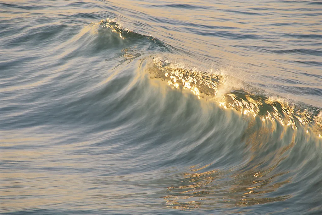 Waves of the Sea