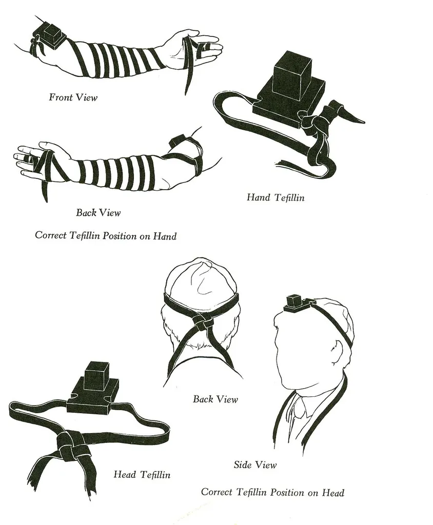 Illustration of Phylacteries (tefillin)