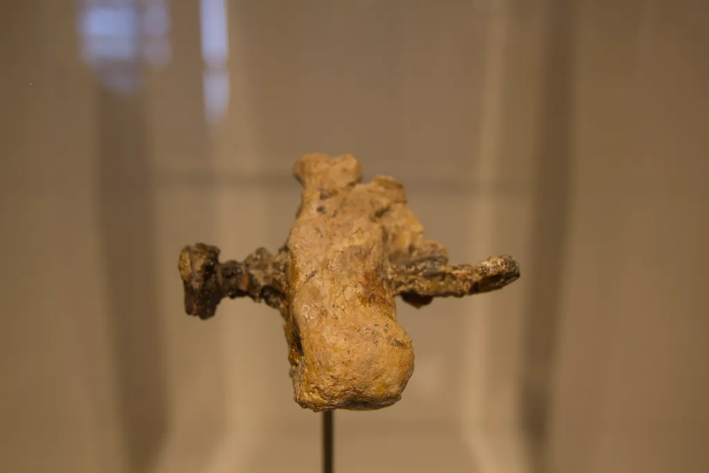 Heel Bone of a Crucified Man by name of Johanan