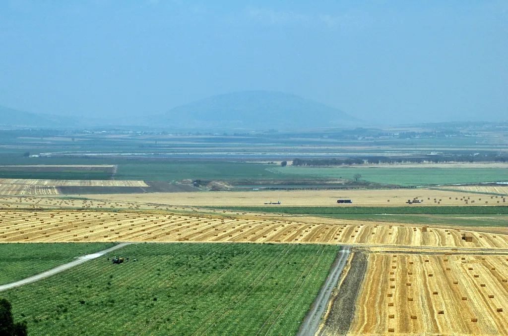 Valley of Jezreel (Armageddon) Looking Toward Mt. Tabor from Mt. Megiddo
