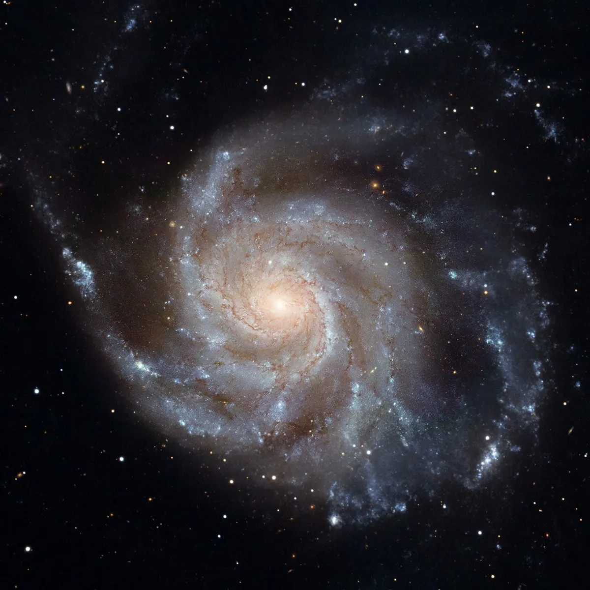 Pinwheel Galaxy (M101)