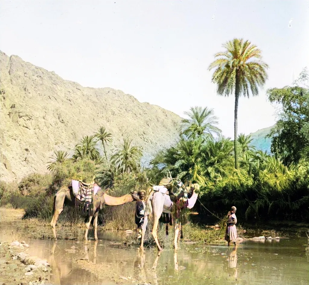Abundance of Water in the Sinai Desert at Wady Feiran