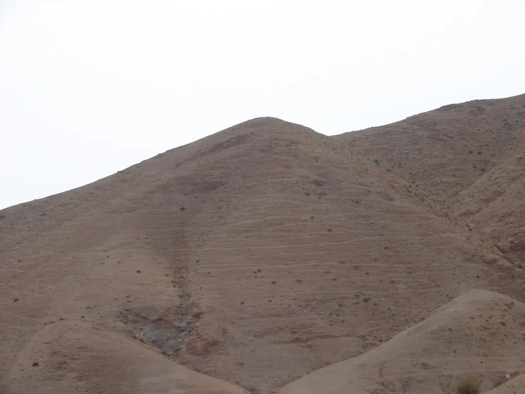 Sheep paths in the desert in the Negev