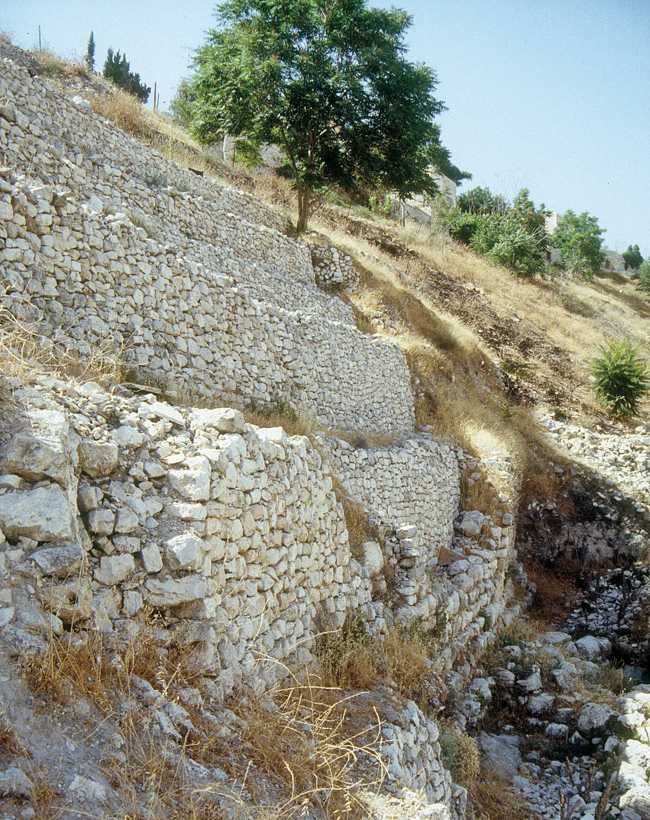 Wall of the Ancient City of David