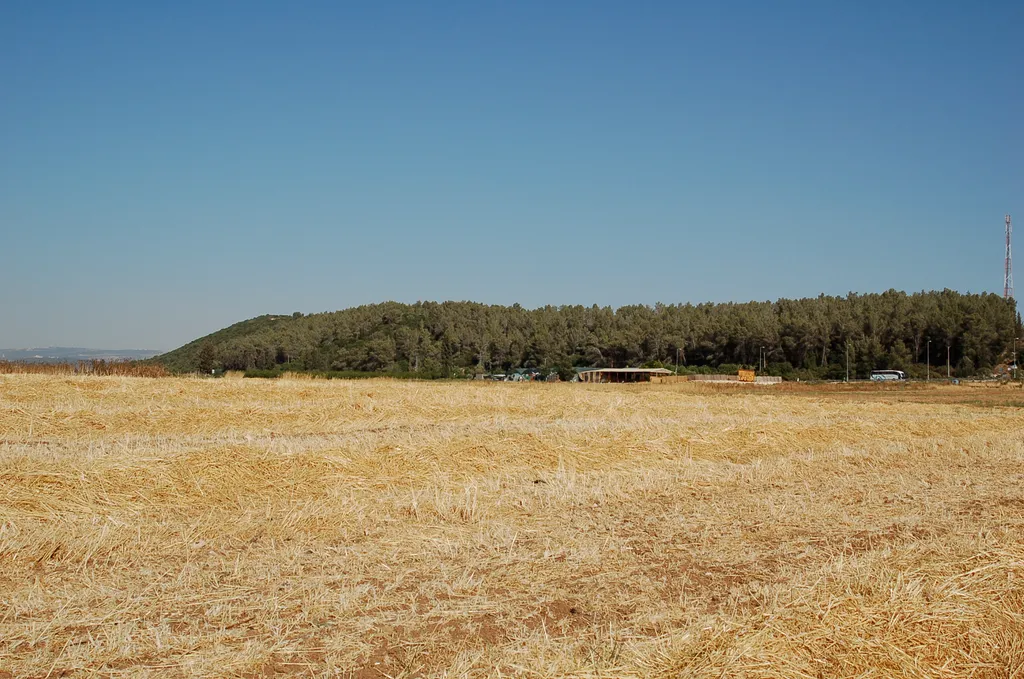 Location of Philistine Camp on East Side of Elah Valley