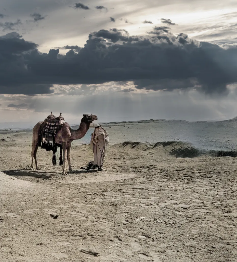 The Wilderness of Shur, Near Mountains of Sinai