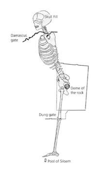 Editor's Depiction of Gordon's Skeleton