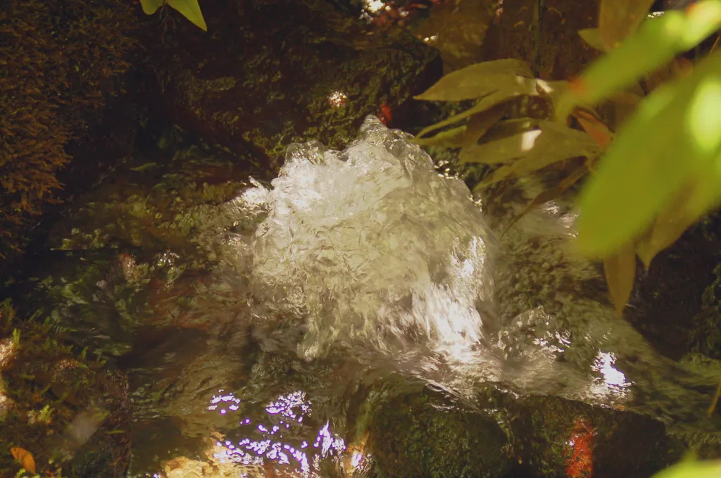 Spring of the Jordan River (Tel Dan)