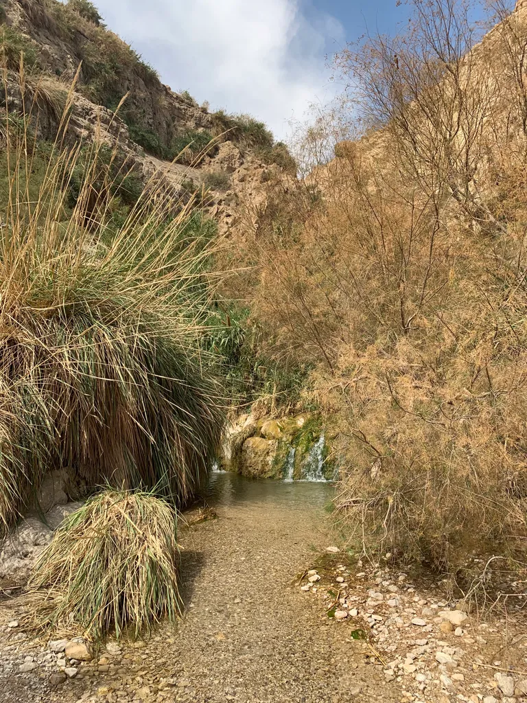 Stream at Ein Gedi near Masada