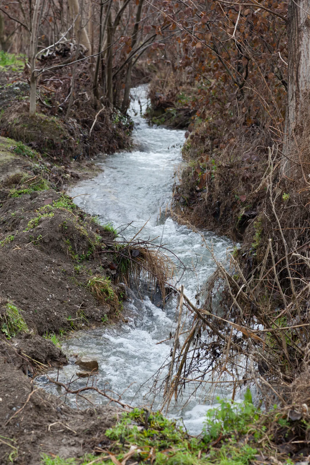 Streams of Cold Water at Colossae