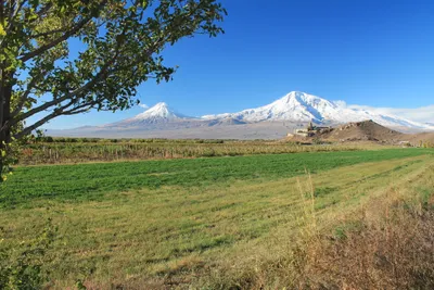 Ararat Mountains