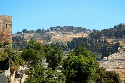 Mount of Olives from Southern Wall of Temple