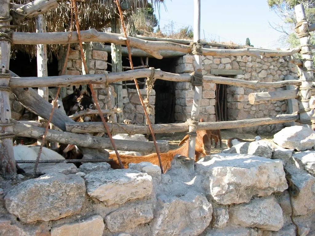 Animal Stall for Donkeys and Goats (Nazareth Village) in Nazareth