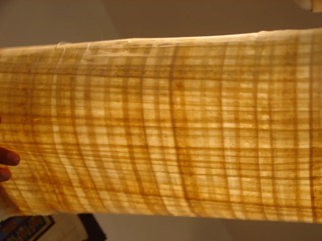 Papyrus (Ancient Paper)