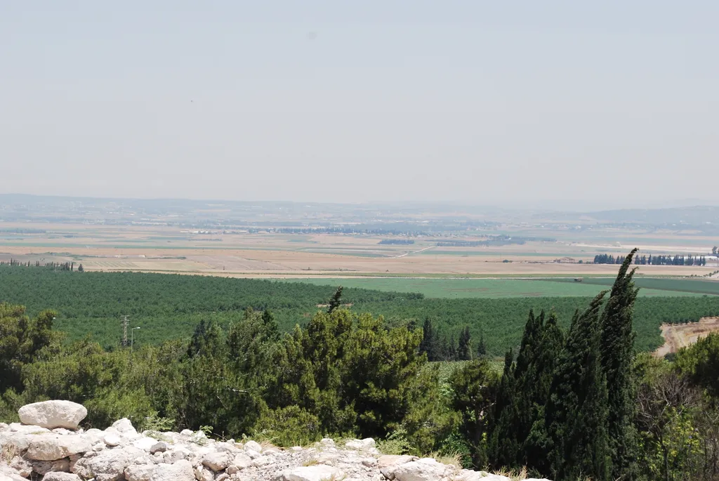 Fields around Hazor