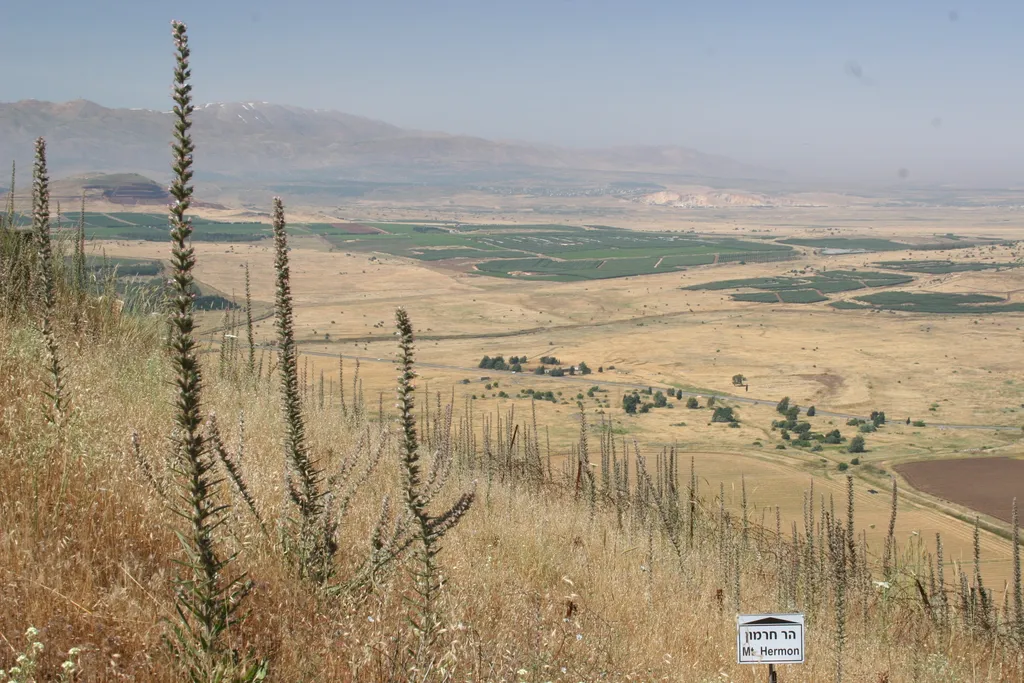 Mt. Hermon in the Summer (with Sign)
