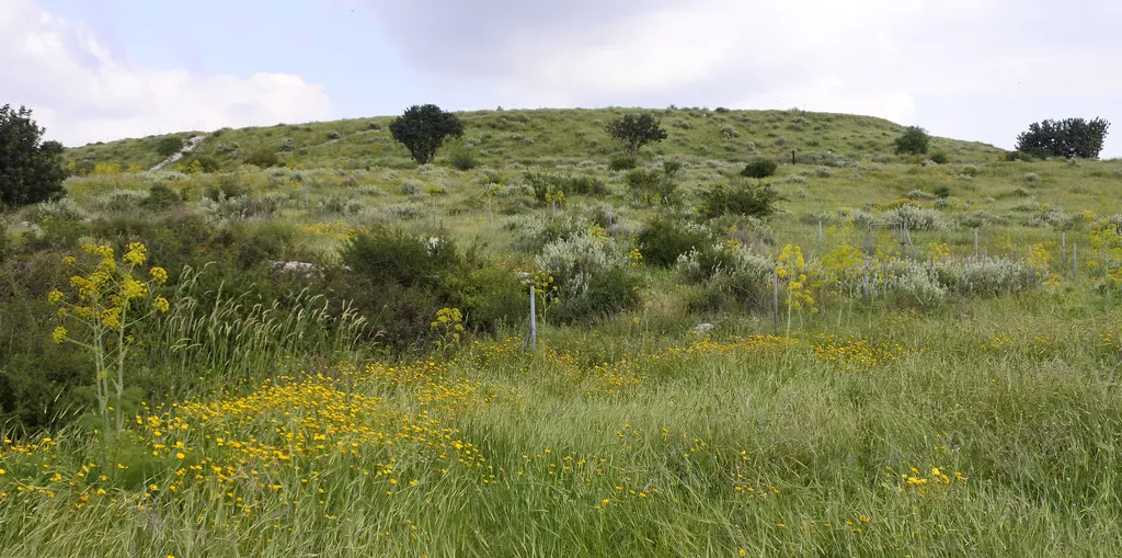 Tel Maresha, Possible Site of Micah's City