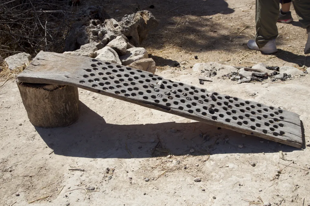 Farming Tool for Threshing Wheat