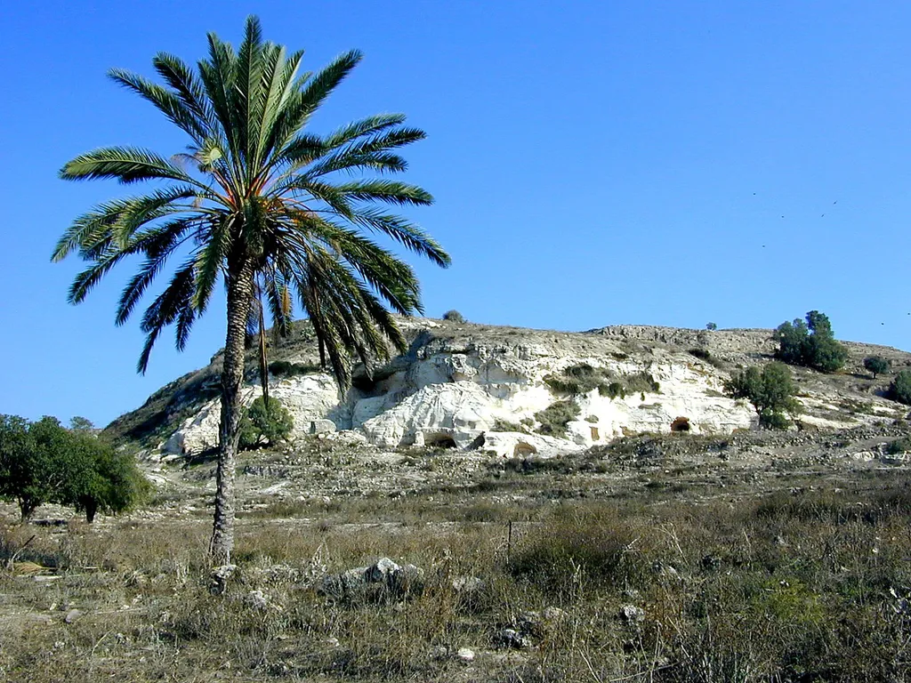 Gath (Tell es Safi) from the North