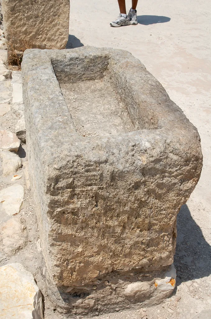 Feeding Trough (Manger) for Horses at Tel Megiddo