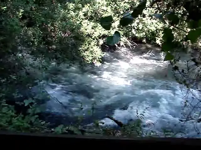 Water flowing from Hermon at Tel Dan
